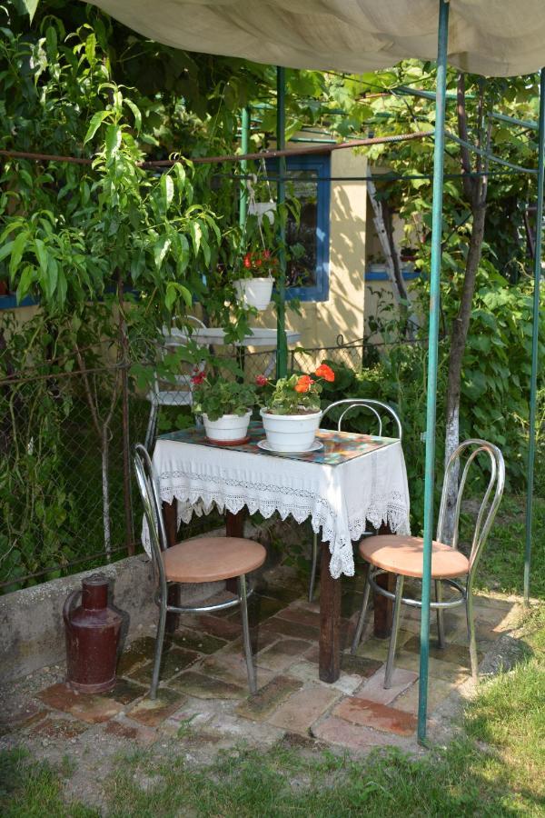 Casa Traditionala Ardeleana Madaras  Екстериор снимка